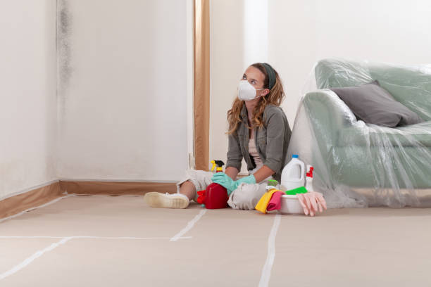 Reliable Mold Cleanup contractor in Derwood, MD by WQB Mold Removal